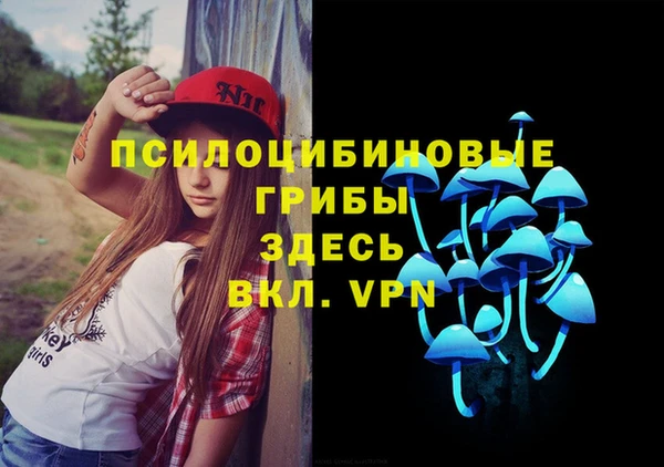 стафф Волосово