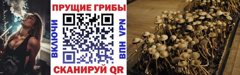 Псилоцибиновые грибы ЛСД  наркотики  Елец 
