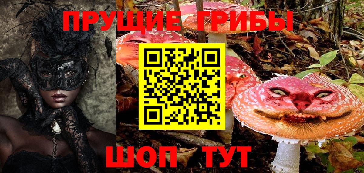 Галлюциногенные грибы ЛСД Елец