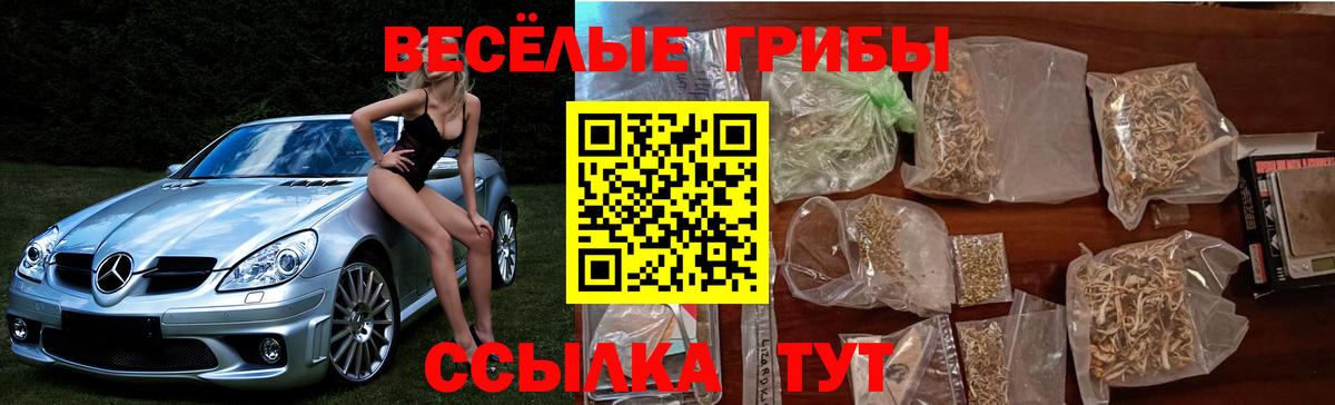 Галлюциногенные грибы Cubensis  Вход с VPN  Галлюциногенные грибы Magic Shrooms  Елец 